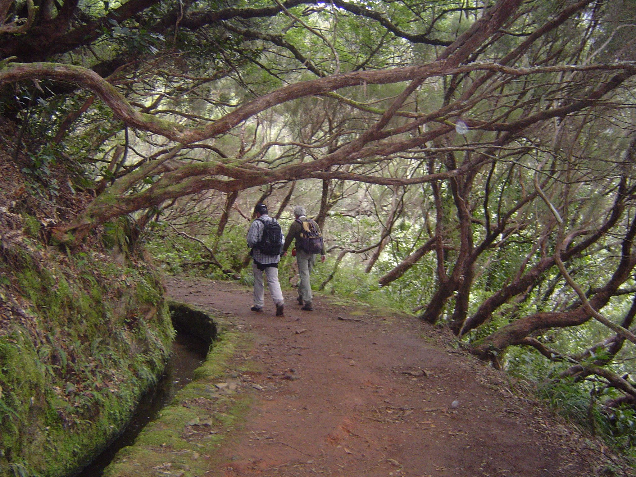 MADEIRA | Individuelle Wanderreise Madeira von Quinta zu Quinta