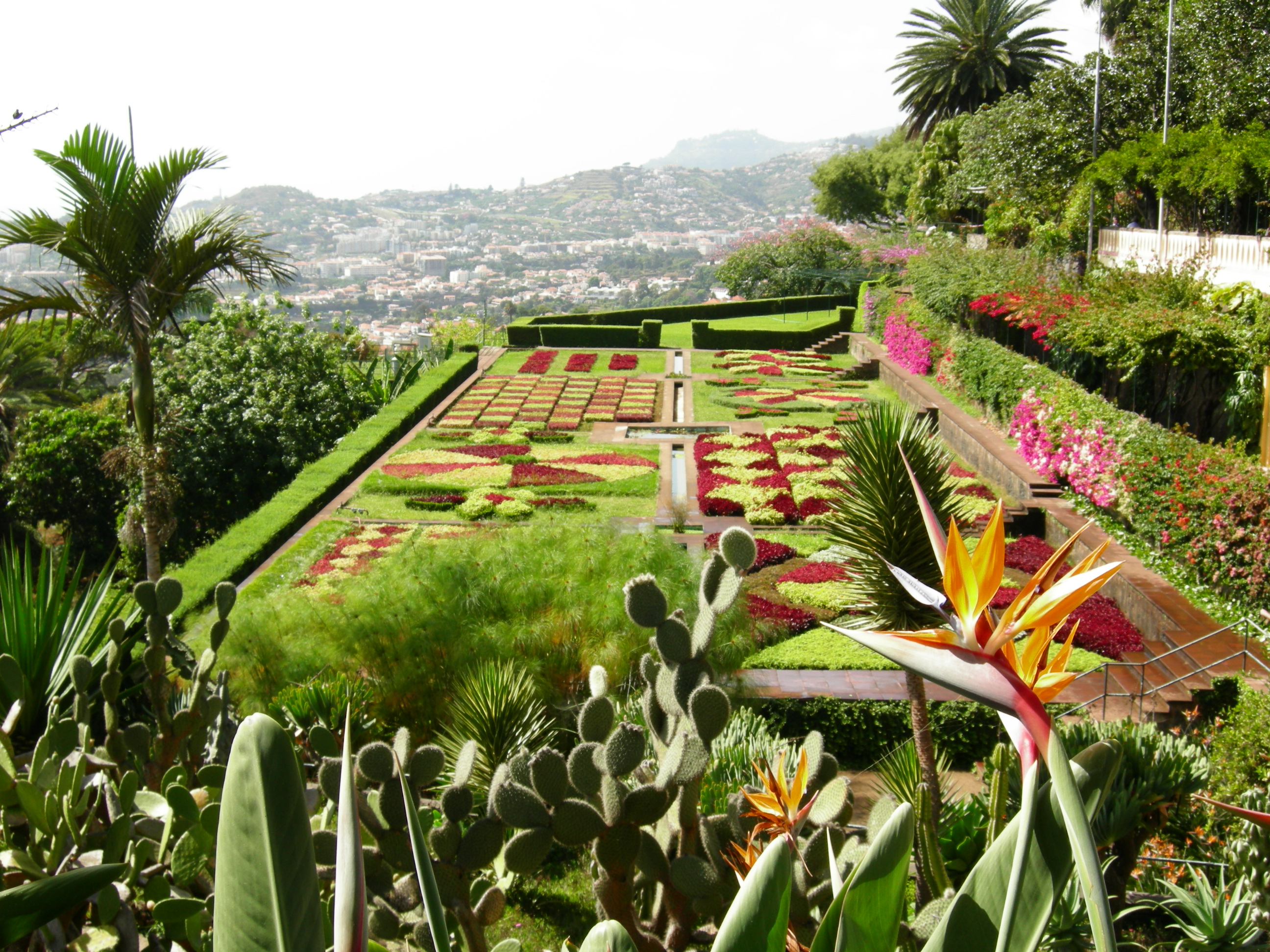 MADEIRA | Individuelle Wanderreise Madeira von Quinta zu Quinta