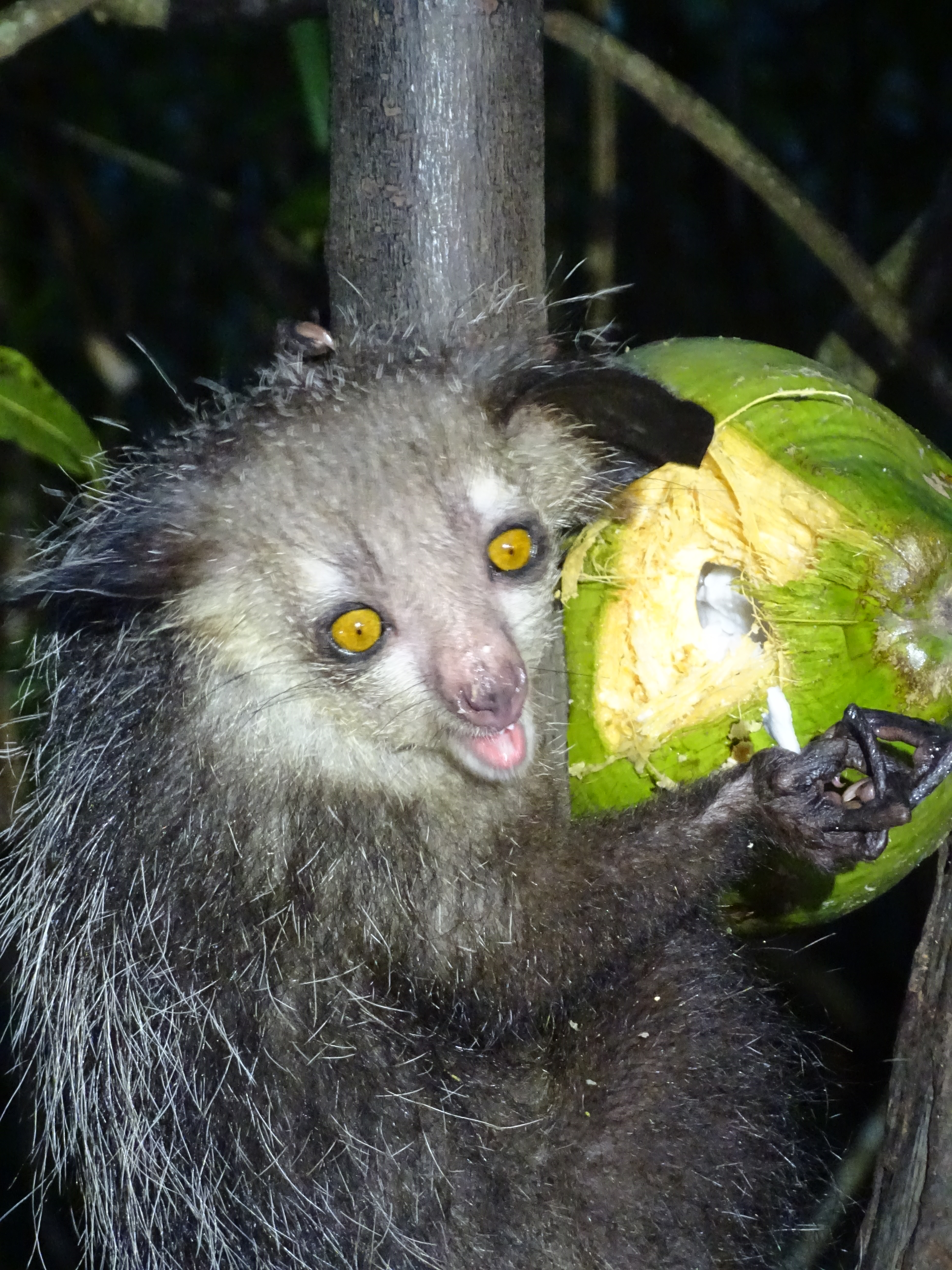 MADAGASKAR | Mit Menschen und Lemuren auf Du und Du