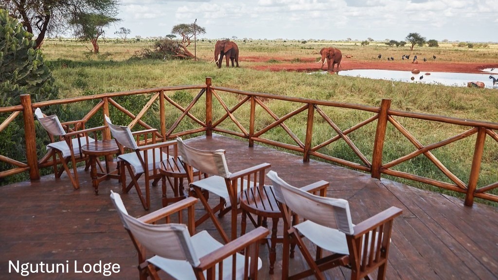 Ngutuni Safari 2