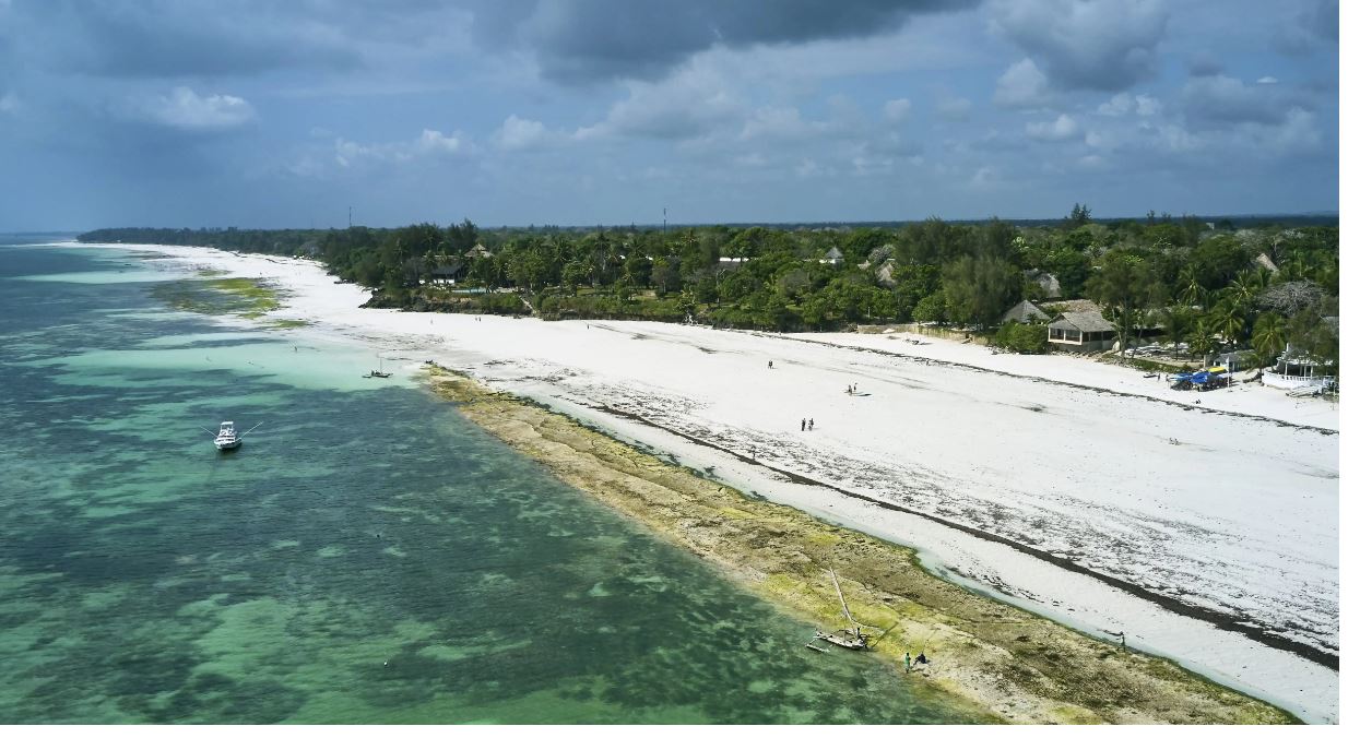 Papillon Lagoon Reef