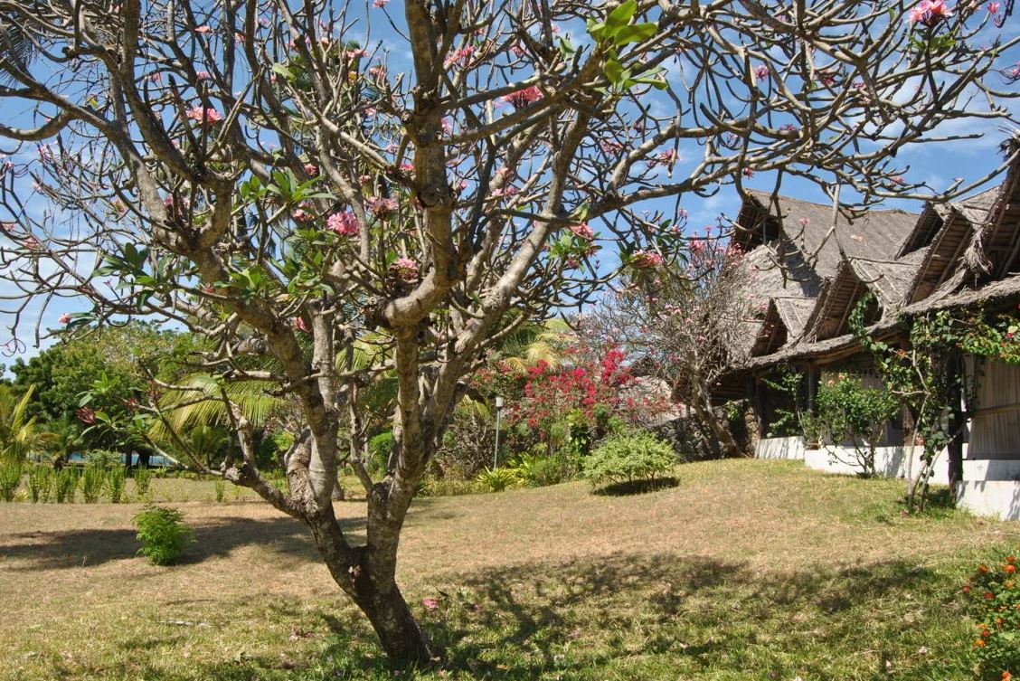 Mafia Island Lodge 