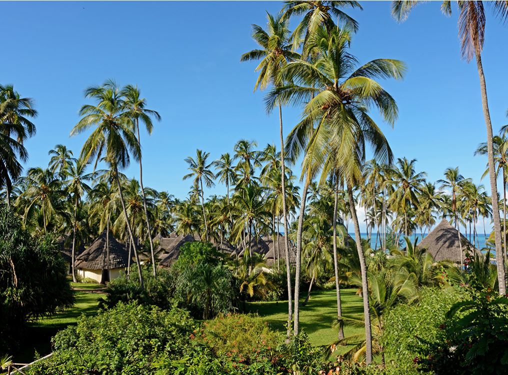 Ocean Paradise Resort & Spa