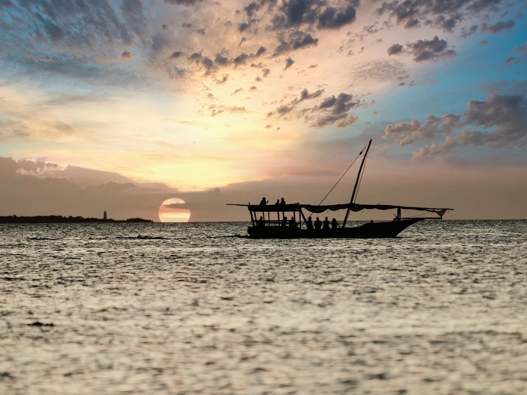 Gold Zanzibar - The Cocoon Collection 
