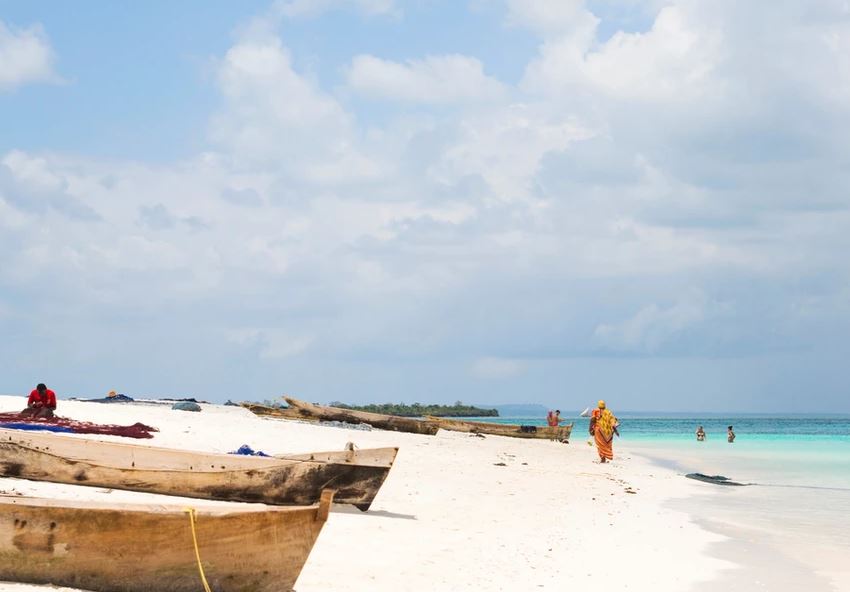 Gold Zanzibar - The Cocoon Collection 