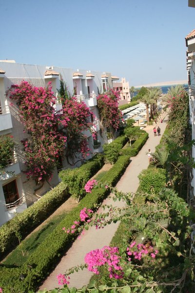 Mina Mark Resort + S ★★★★