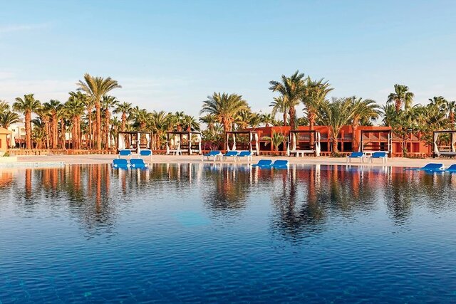 Calimera Blend Paradise ★★★★