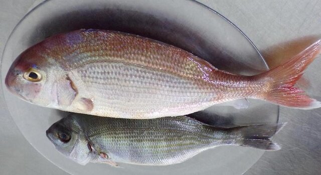 La Carruba ★★★