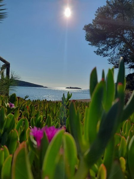 Magnolia ★★★★