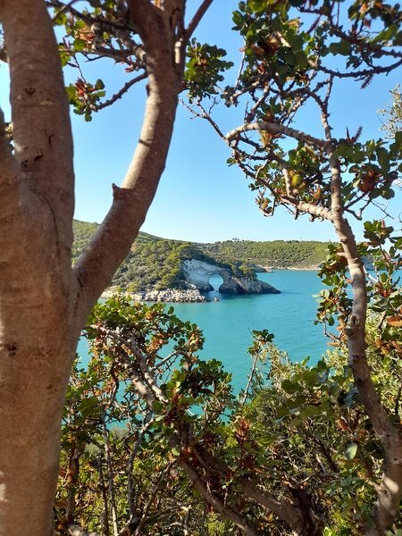 Magnolia ★★★★