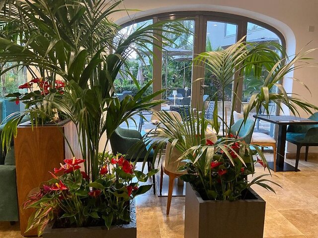 The Village Boutique & Spa ★★★★★