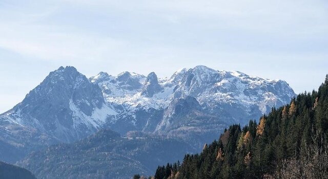 Almchalet Alpenflora ★★★★