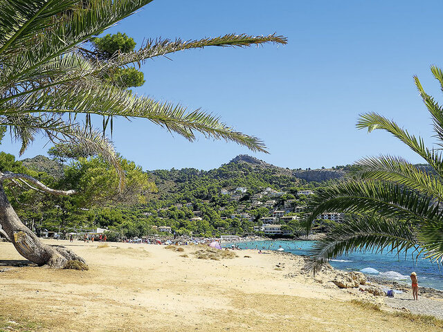 App. Massanet ★★