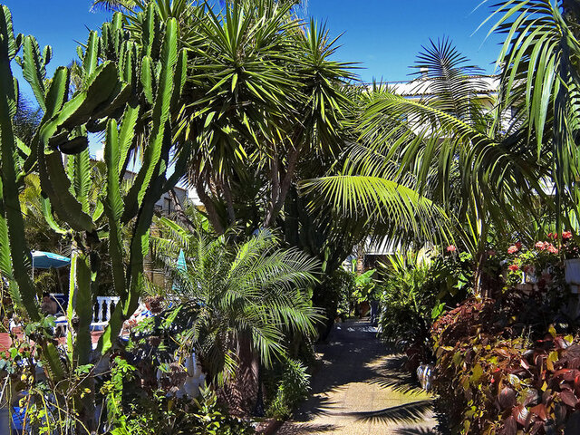 Hotel Don Manolito ★★★