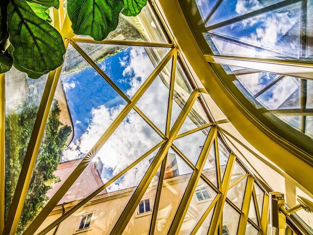 The Dominican ★★★★