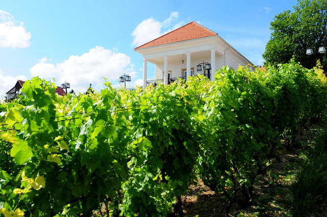 Hotel Zenit Balaton ★★★★