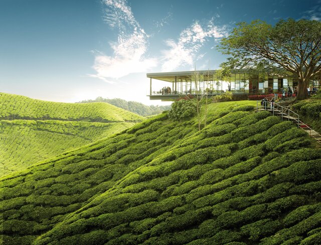 Malaysia | Rundreise & Baden | ab/bis Wien | Saison A