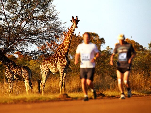 Big Five Marathon