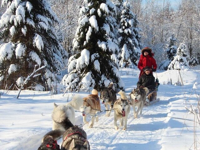 Winterzauber in Finnland