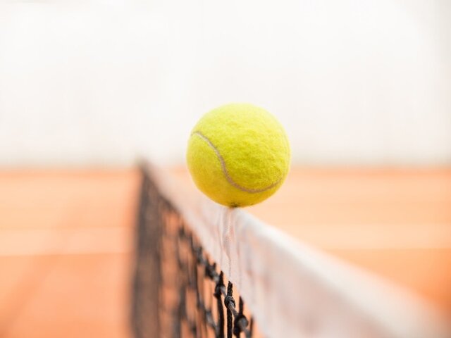 Hamburg Open