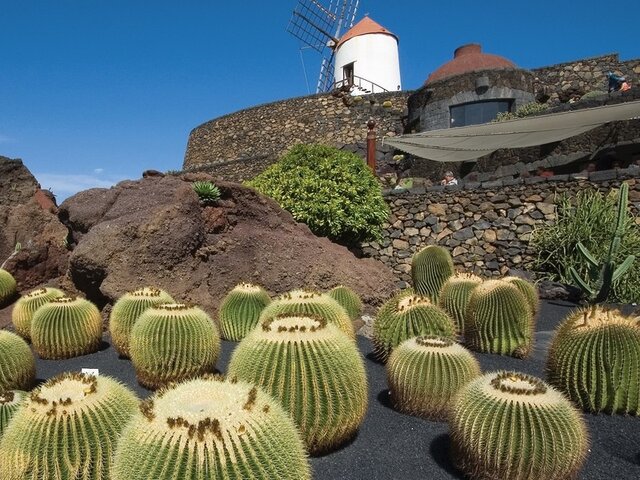Wanderreise Lanzarote