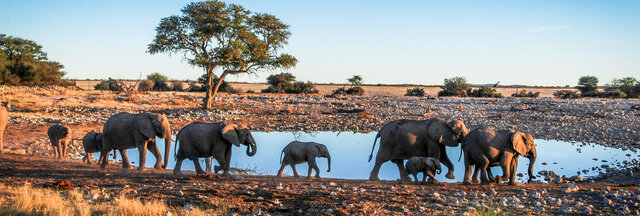 NAMIBIA | Der Diamant Afrikas