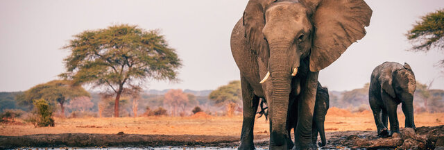 SÜDAFRIKA | Best of Südafrika