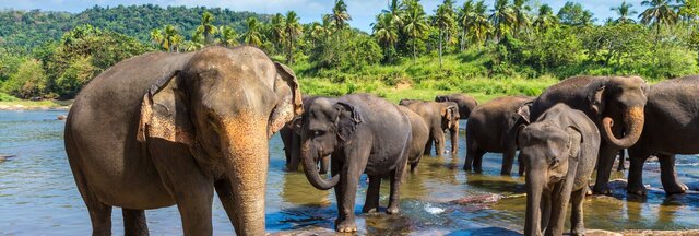 INDIEN | Magisches Südindien mit Backwaters und Badetagen