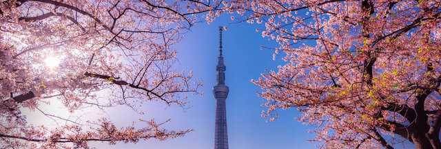 JAPAN | Best of Japan