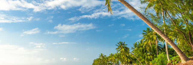 KUBA | Rhythmen der Karibik