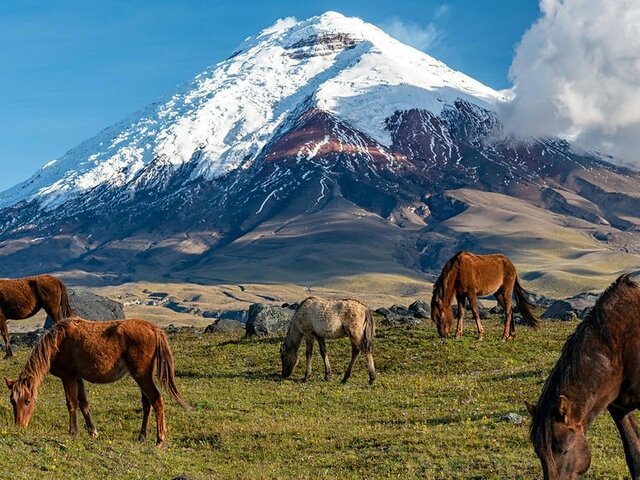 ECUADOR | Authentisches Ecuador, faszinierendes Galapagos
