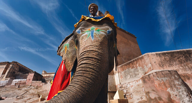 INDIEN | Das Goldene Dreieck – Zwischen Palästen, Tempeln und Tigern im Dschungel