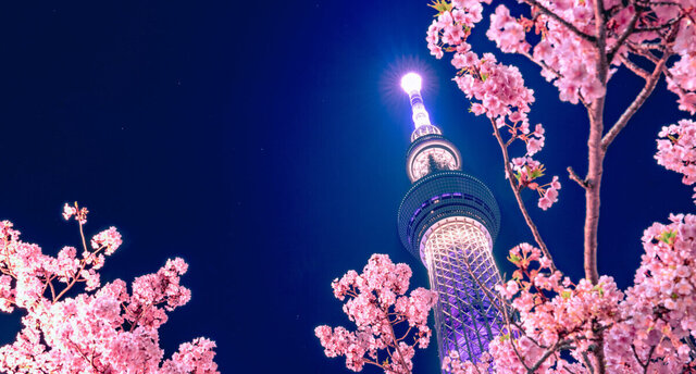JAPAN | Frühling und Herbst im Land der Geisha