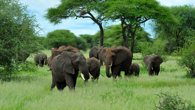 North Tanzania 5 Nächte - Privat