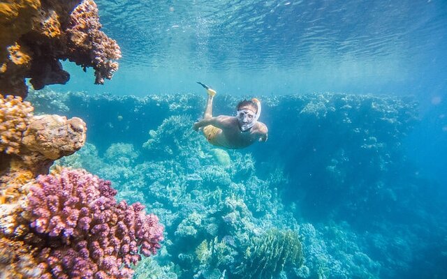 Warum der Indische Ozean das Richtige für Sie ist