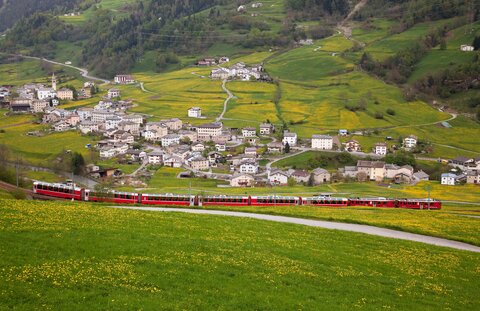 Bernina Express - Von den Alpen zu den Palmen | Schweiz Zugrundreise 