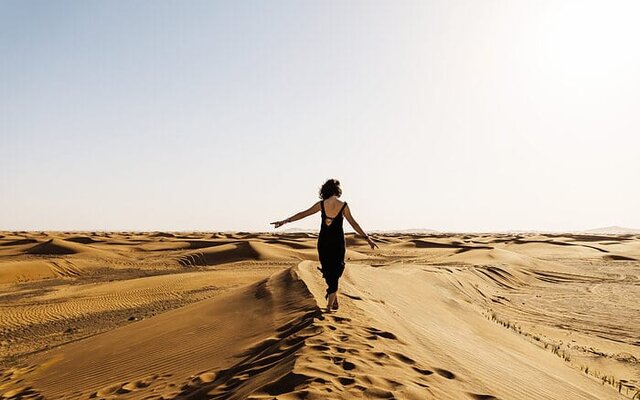 Al Wathba Wetland Reserve: Ein Naturparadies in Abu Dhabi