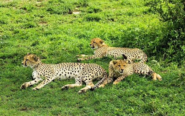 Tarangire-Nationalpark