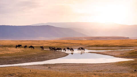 North Tanzania 12 Nächte - Privat