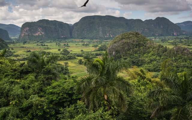 Valle de Viñales