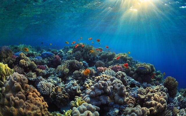 Jardines de la Reina