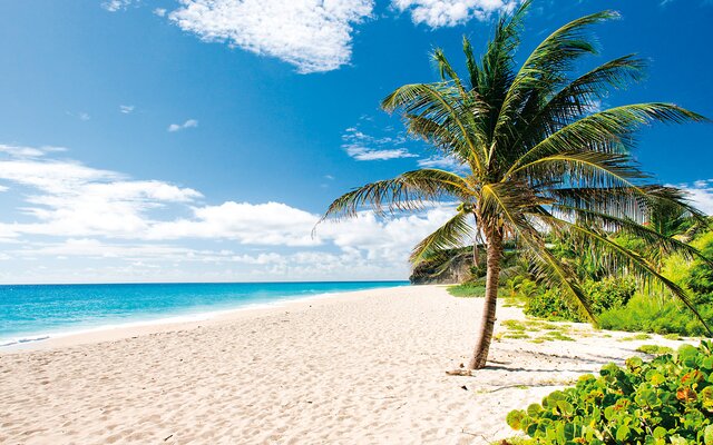 Alle Hotels auf Barbados (Flug & Hotel)
