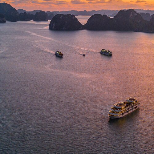 Jedem Typ sein Schiff