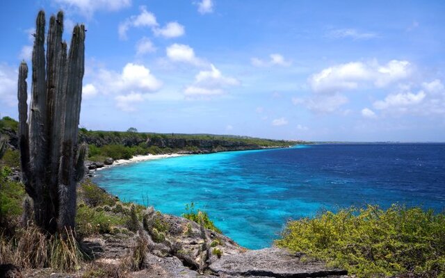 Insel Bonaire