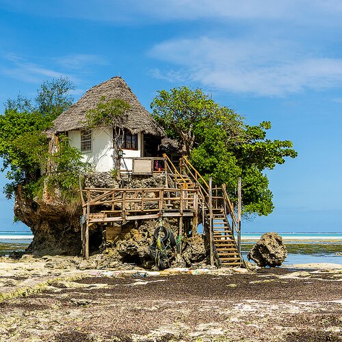 Zu Gast in Afrikas Wildnis