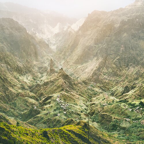 Das ganze Jahr Sommer