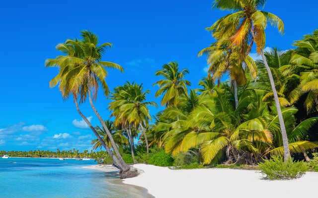 Karibik Kreuzfahrten