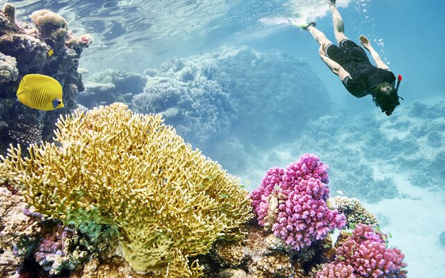 Pickalbatros Hotels & Resorts