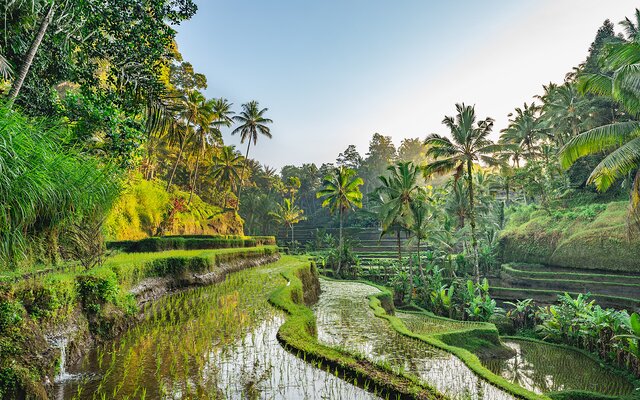 Bali