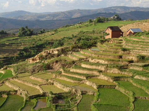 MADAGASKAR | Mit Menschen und Lemuren auf Du und Du